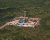 20100820_terra-group-104.jpg