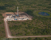 20100820_terra-group-108.jpg