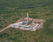 20100820_terra-group-130.jpg