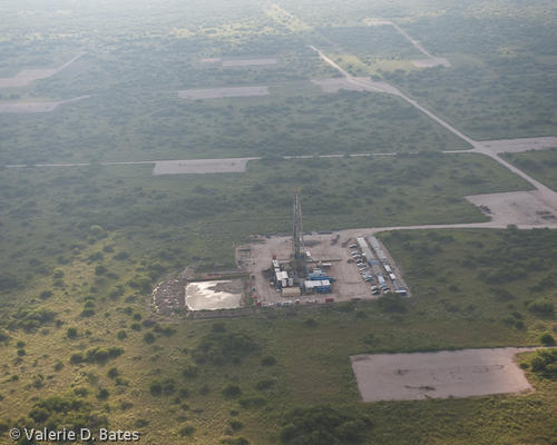 20100820_terra-group-143.jpg