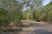 20080617_mission-3.jpg