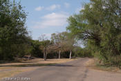 20080617_mission-5.jpg