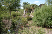 20080617_mission-10.jpg