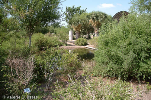 20080617_mission-10.jpg