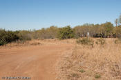 20101116-tttr_cotulla-103.jpg