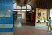 20080617_mission-14.jpg