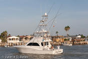 20090731_tift-friday-250.jpg
