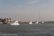 20090731_tift-friday-258.jpg