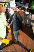 20090801_tift-saturday-228.jpg