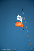 20090801_tift-saturday-229.jpg