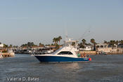 20090801_tift-saturday-282.jpg