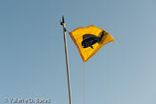 20090801_tift-saturday-284.jpg