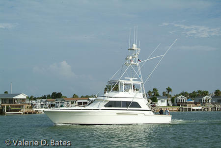 20070803_tift-friday-206.jpg