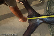 20070803_tift-friday-220.jpg