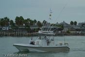 20070804_tift-saturday-170.jpg