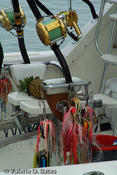 20070804_tift-saturday-180.jpg