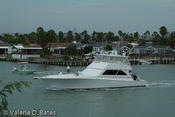 20070804_tift-saturday-192.jpg