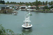 20070804_tift-saturday-207.jpg