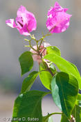 20110816_tttr-3rivers-176.jpg
