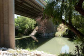 20110816_tttr-3rivers-194.jpg