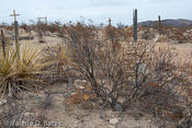 20111224_terlingua-126.jpg