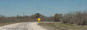 McMullen County (20100216)