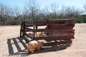 Lonesome Dove Village on the High Lonesome Ranch