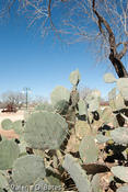 Lonesome Dove Village on the High Lonesome Ranch
