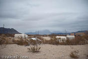 20111224_terlingua-222.jpg