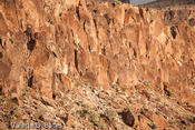 20111224_fm170-125.jpg