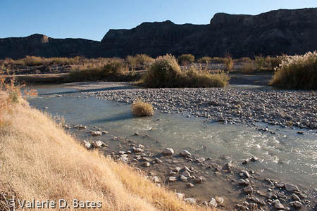 20111222_fm170-111.jpg