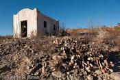 20111222_fm170-117.jpg