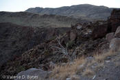 20111222_fm170-151.jpg