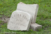 20111220_tttr-corpuschristi-109.jpg
