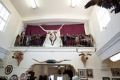 Alice, Tx. (20090120)