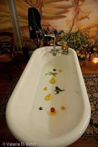 20120320_tttr-goliad-254.jpg