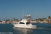 20120803_tift-friday-175.jpg