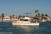 20120803_tift-friday-188.jpg