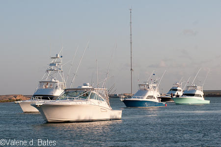 20120803_tift-friday-218.jpg