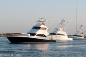 20120803_tift-friday-223.jpg