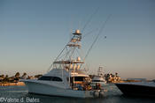 20120803_tift-friday-227.jpg