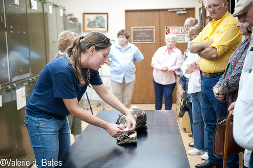 20121016_tttr-sinton-177.jpg