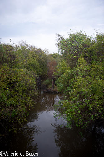 20121016_tttr-sinton-207.jpg
