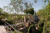 20090421_hidalgo-3.jpg