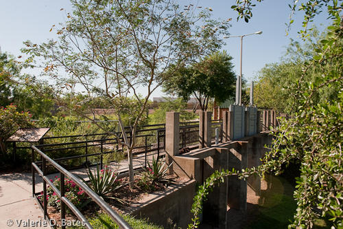 20090421_hidalgo-3.jpg