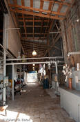 20090421_hidalgo-7.jpg