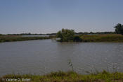 20090421_hidalgo-11.jpg