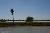 20090421_hidalgo-12.jpg