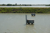 20090421_hidalgo-13.jpg