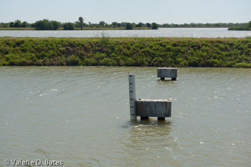 20090421_hidalgo-13.jpg